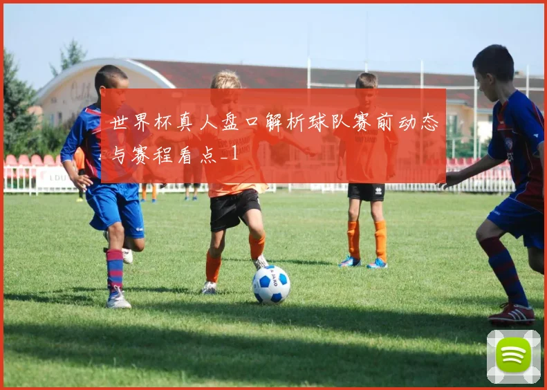 世界杯真人盘口解析球队赛前动态与赛程看点_1