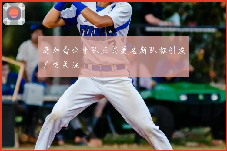 芝加哥公牛队正式更名新队称引发广泛关注