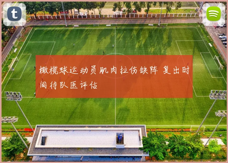 橄榄球运动员肌肉拉伤缺阵 复出时间待队医评估