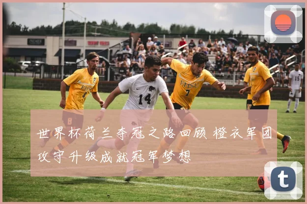 世界杯荷兰夺冠之路回顾 橙衣军团攻守升级成就冠军梦想