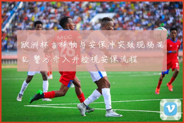 欧洲杯吉祥物与安保冲突致现场混乱 警方介入并检视安保流程