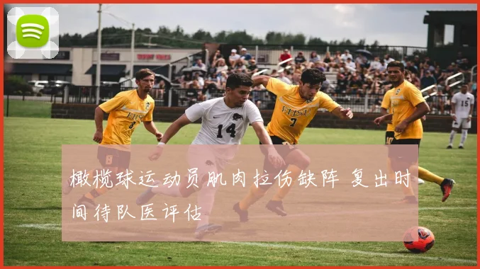 橄榄球运动员肌肉拉伤缺阵 复出时间待队医评估