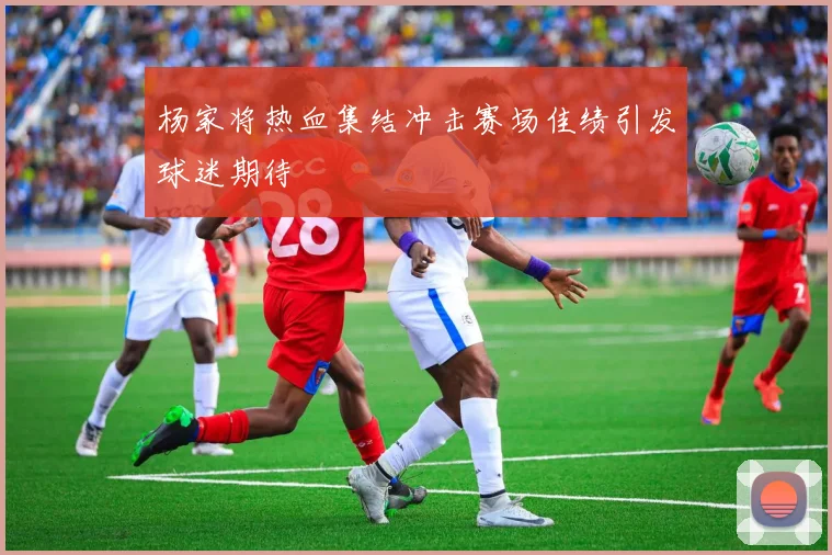 杨家将热血集结冲击赛场佳绩引发球迷期待