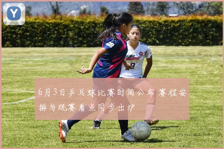 6月3日乒乓球比赛时间公布 赛程安排与观赛看点同步出炉