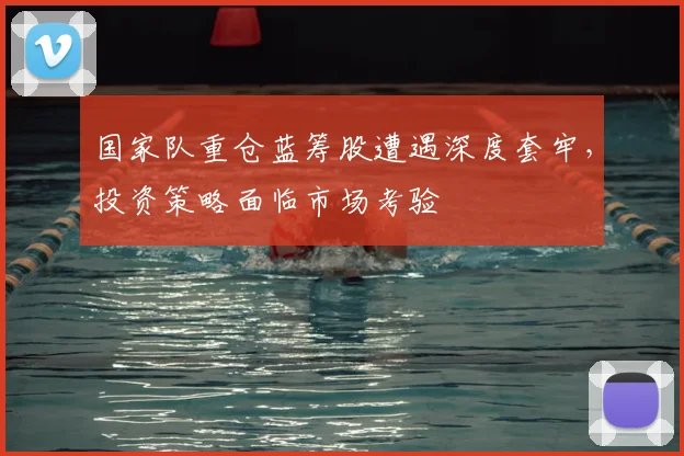 国家队重仓蓝筹股遭遇深度套牢,投资策略面临市场考验